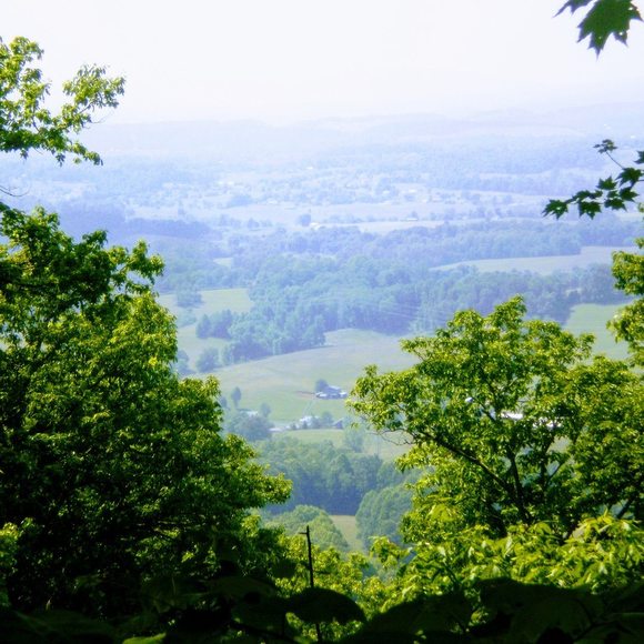 Meet your Posher, Chris - Picture 1 of 1